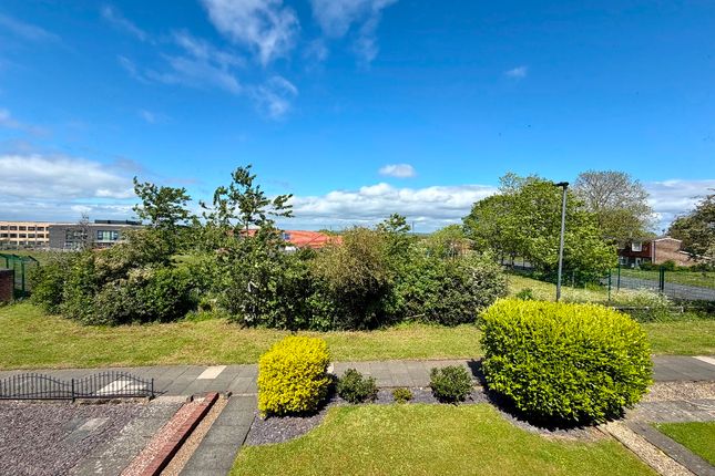 151 Westgarth, Newcastle upon Tyne photo 5
