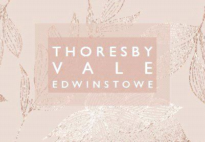Thoresby Vale - Plot 87, 15, The Cobbles, Mansfield photo 3