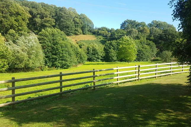 20240809_170206.Jpg