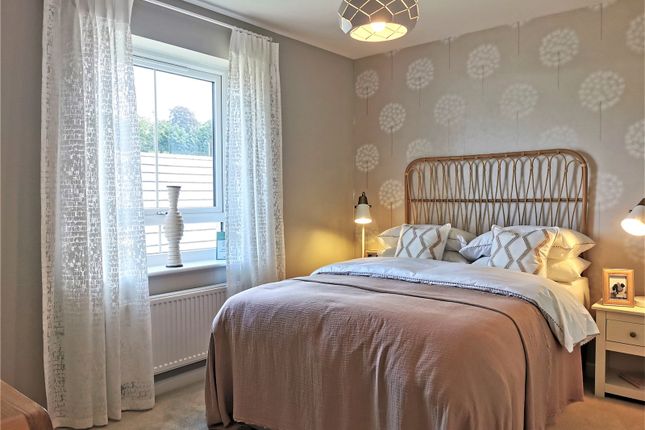 Show Homes