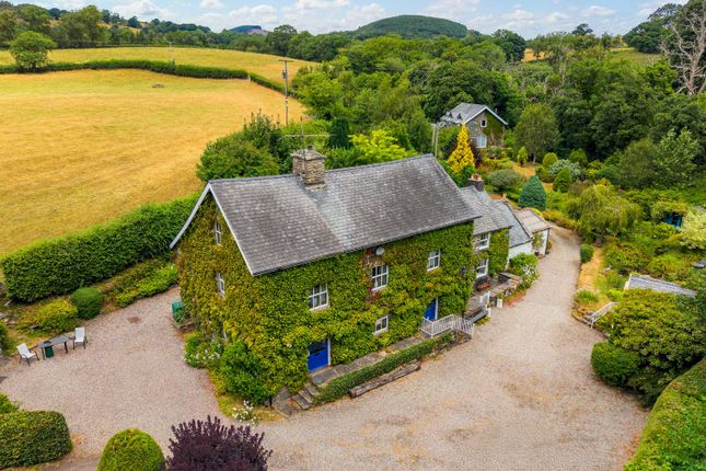 Melin Meloch,, Llanfor, Gwynedd photo 2