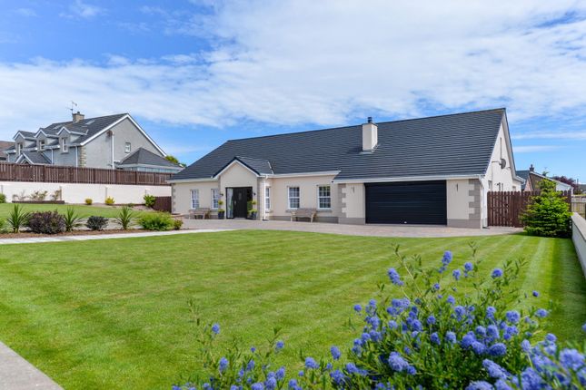 Thumbnail Bungalow for sale in North Road, Carrickfergus, County Antrim