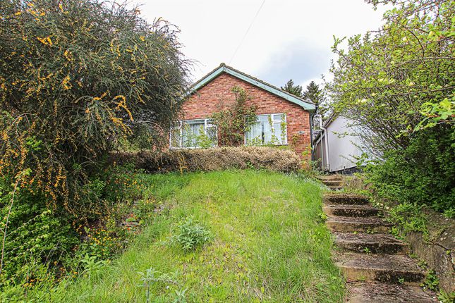Thumbnail Detached bungalow for sale in New Cheveley Road, Newmarket