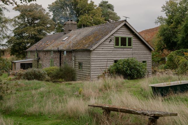 314797 - _A742198.Jpg