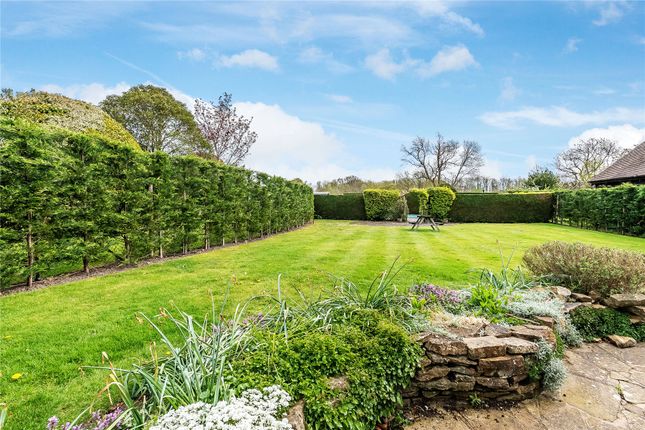Hornbeam, 174, The Street, Surrey photo 4