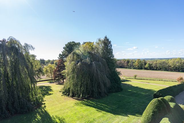 Grenehurst Park, Dorking photo 4