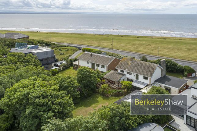 The Serpentine North