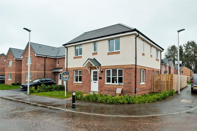 Thumbnail Detached house for sale in Tambour Avenue, Stonehouse, Larkhall