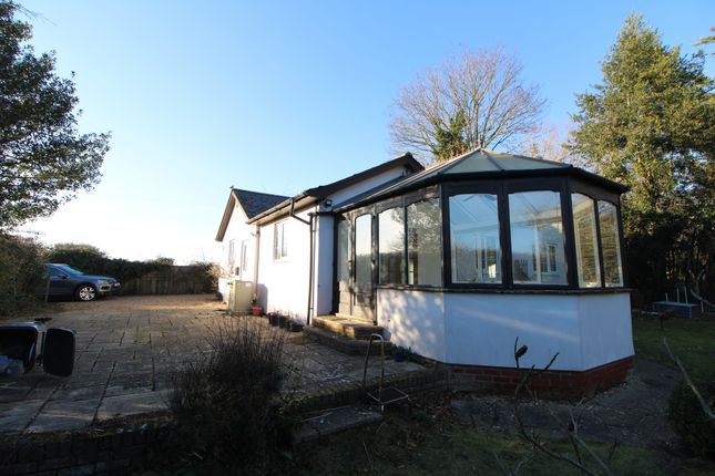 Detached bungalow to rent in Honey Tye, Leavenheath, Colchester