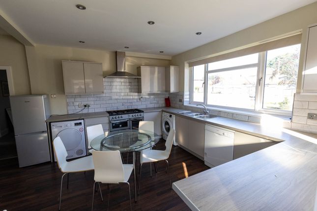 Bright And Modern Kitchen With Large Window Provid...