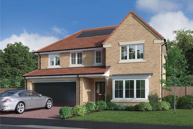 Thumbnail Detached house for sale in "The Beechford" at Elm Avenue, Pelton, Chester Le Street