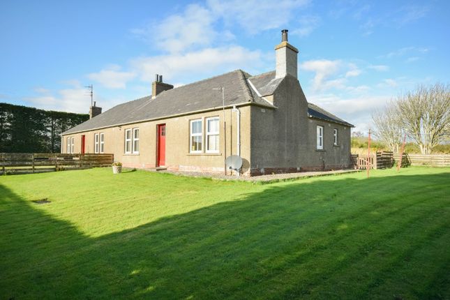 Thumbnail Semi-detached house to rent in Over Bow Farm, Forfar, Angus