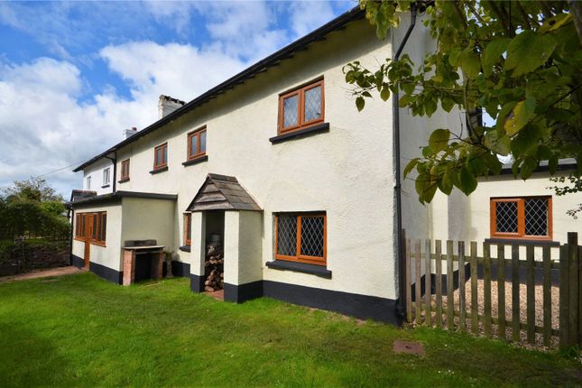 Homes For Sale In Halberton Buy Property In Halberton