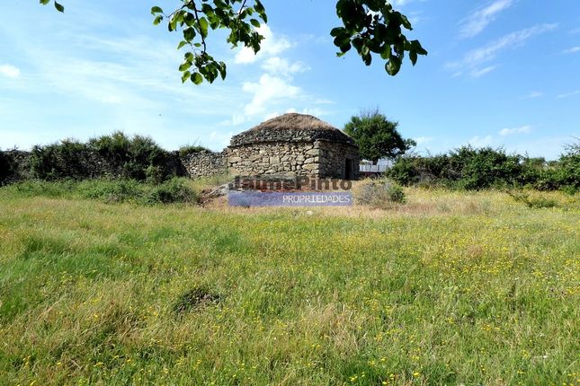 Thumbnail Land for sale in 250 000 m2 Agricultural And Houses In Ruins, Portugal