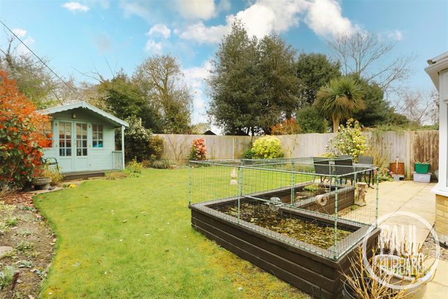 46, Bonsey Gardens, Suffolk photo 3