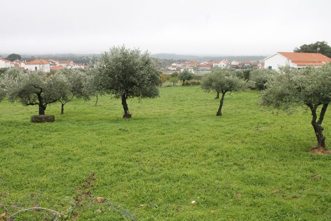 Land for sale in Idanha-A-Nova, Idanha-A-Nova, Castelo Branco, Central Portugal