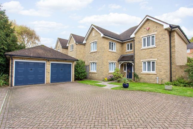 Thumbnail Detached house for sale in Beech Avenue, Chartham