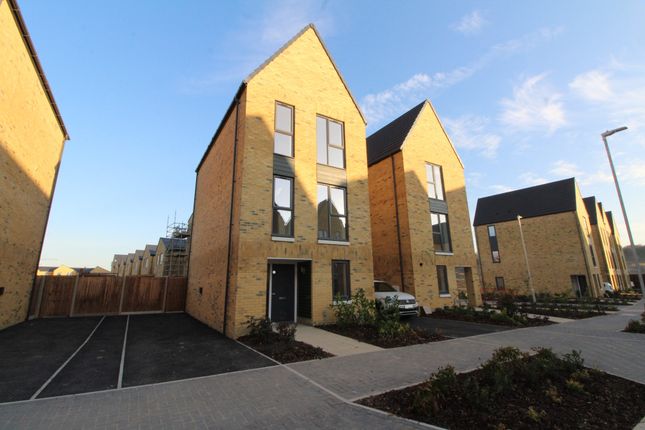 Thumbnail Detached house to rent in Longhoughton Avenue, Western Cross