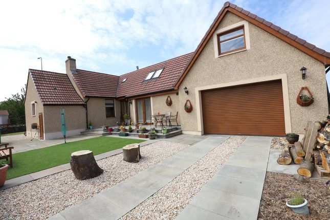 Beath Brewing Brewery Cowdenbeath Fife Facebook 1 Review 157 Photos
