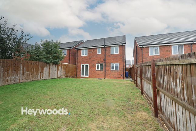 5 Fennel Place, Newcastle photo 4