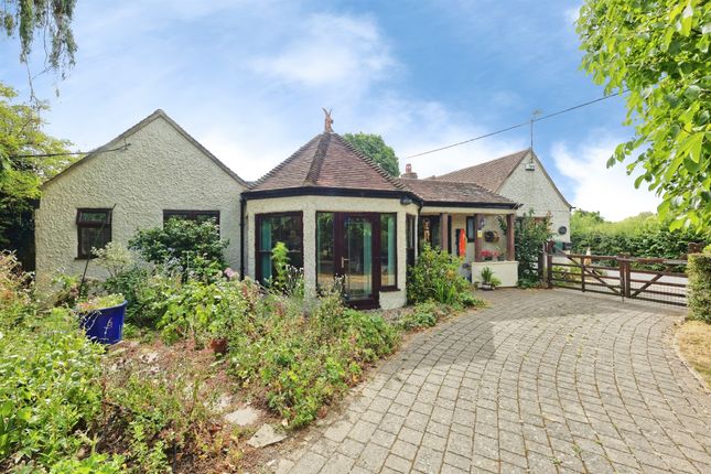 Damian Cottage, Tyler Hill Road, Canterbury photo 2