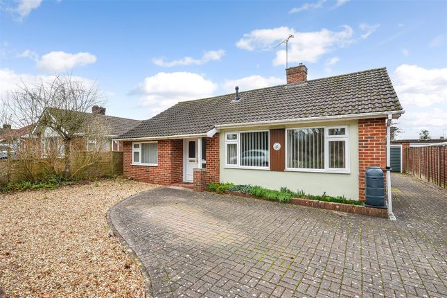 Thumbnail Detached bungalow for sale in Upper Drove, Andover
