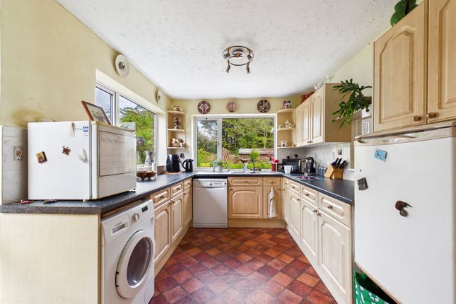22, Lucas Avenue, Colchester photo 3