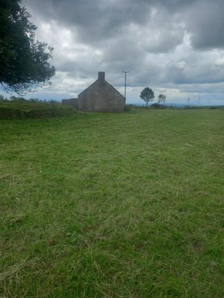 Land for sale in Castlewarren Road, Dunamanagh, Strabane