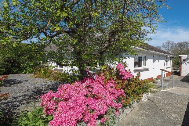 Thumbnail Bungalow to rent in Mill View Road, Llandysul