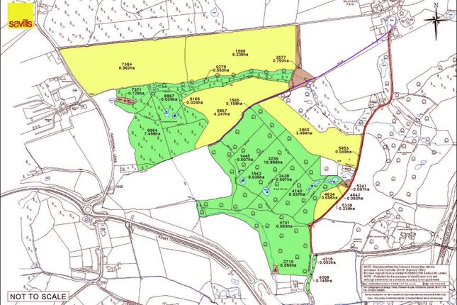 Buckholt Farm Lot 3A Lu Ra.Jpg