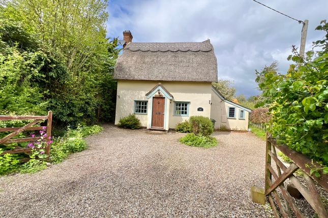 Thumbnail Cottage for sale in Plums Lane, Bardfield Saling