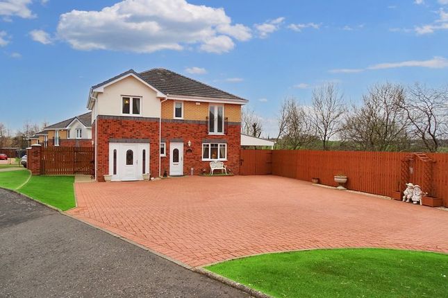 Thumbnail Detached house for sale in The Engine Green, Fishcross, Alloa