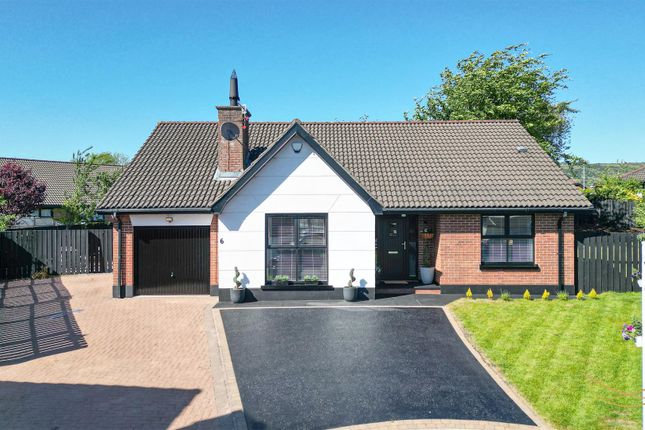 Thumbnail Detached bungalow for sale in Blackthorn Grange, Newtownabbey