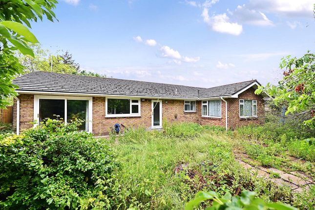 Golden Lodge,, Horton Road, Surrey photo 3