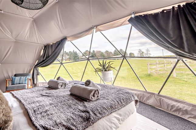 Glamping