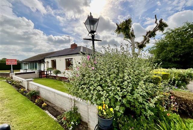 The Croft, Common Lane Thurcroft, Rotherham photo 3