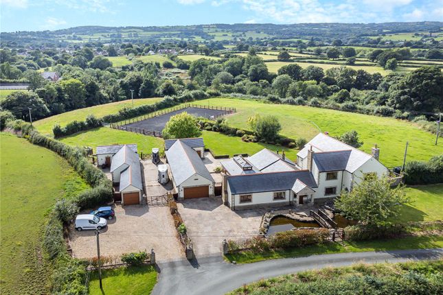 Equestrian property for sale in Northop, Mold, Flintshire