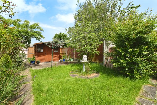 31, Daffodil Way, Essex photo 4