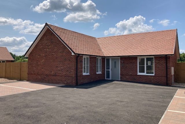 Bungalow for sale in Beechen Row, Grayshott