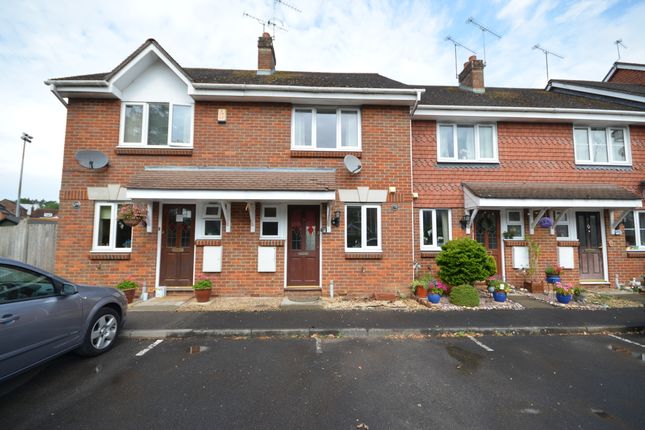 Thumbnail Terraced house to rent in Brookmead Court, Farnham, Surrey