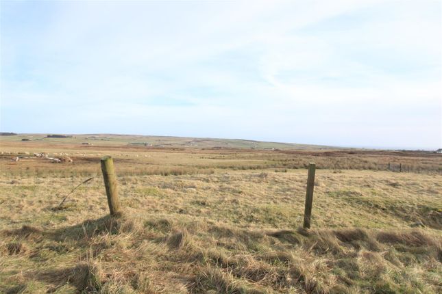 Thumbnail Land for sale in Land South Of Arriebeg, Upper Lybster, Lybster