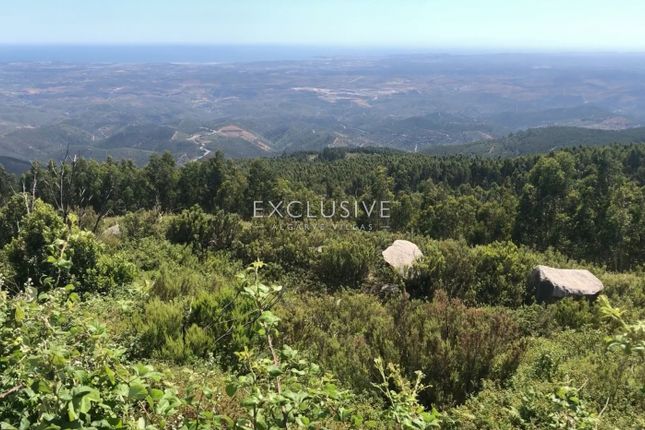Land for sale in 8550 Monchique, Portugal