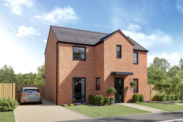 Thumbnail Detached house for sale in "Grange" at Colliery Road, Bearpark, Durham