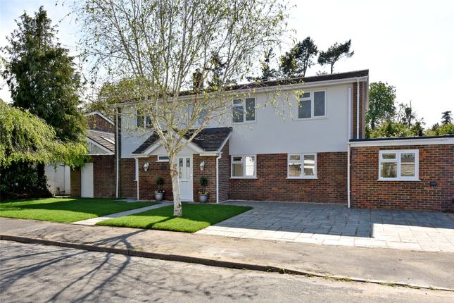 Thumbnail Detached house to rent in Langworthy End, Holyport Maidenhead, Berkshire