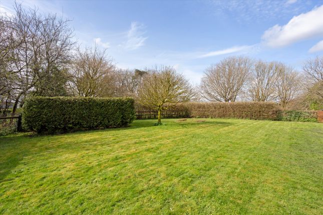 Cottage for sale in Ashmansworth, Newbury, Hampshire