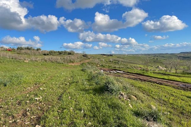 Land for sale in Inia, Pafos, Cyprus