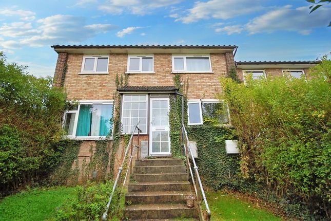 Thumbnail Property to rent in Alyssum Walk, Colchester