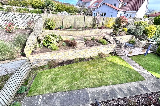 5 Rosetay Court, Dunfermline photo 4