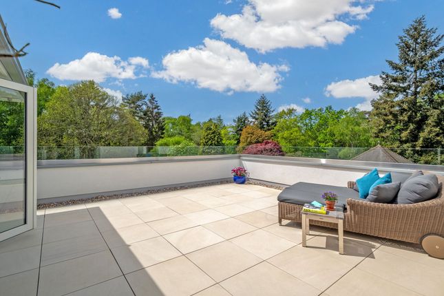 Master Terrace