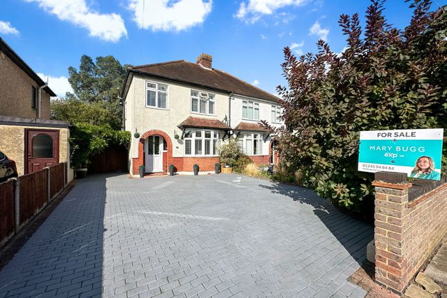 Thumbnail Semi-detached house for sale in Dorset Avenue, Chelmsford